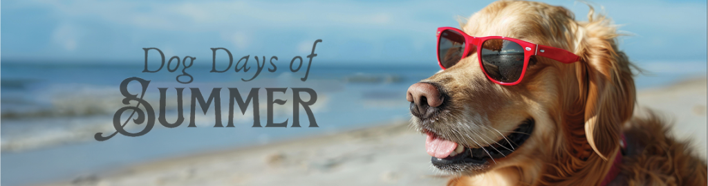 Dog Days of Summer Banner, happy retriever wearing sunglasses on the beach