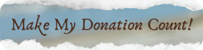 Donation Button